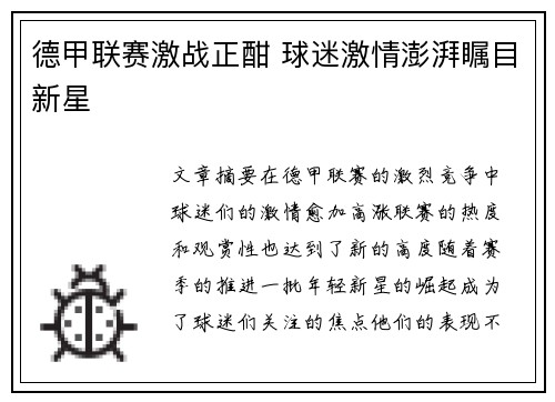 德甲联赛激战正酣 球迷激情澎湃瞩目新星
