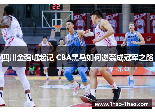 四川金强崛起记 CBA黑马如何逆袭成冠军之路